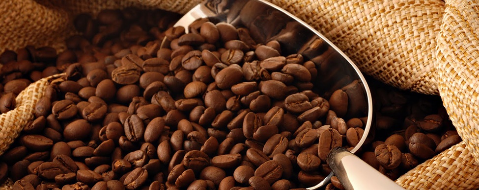 Portada Café de Talpa (La Cuesta)